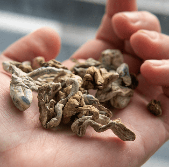 Dosing shrooms properly can be difficult